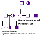 Neurodevelopmental Disabilities Lab