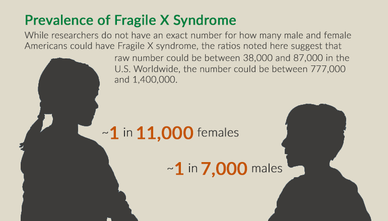 Silhouettes of a boy and a girl with the words: While researchers do not have an exact number for how many male and female Americans could have Fragile X syndrome, the ratios noted here suggest that the raw number could be between 38,000 and 87,000 in the U.S. Worldwide, the number could be between 777,000 and 1,400,000.